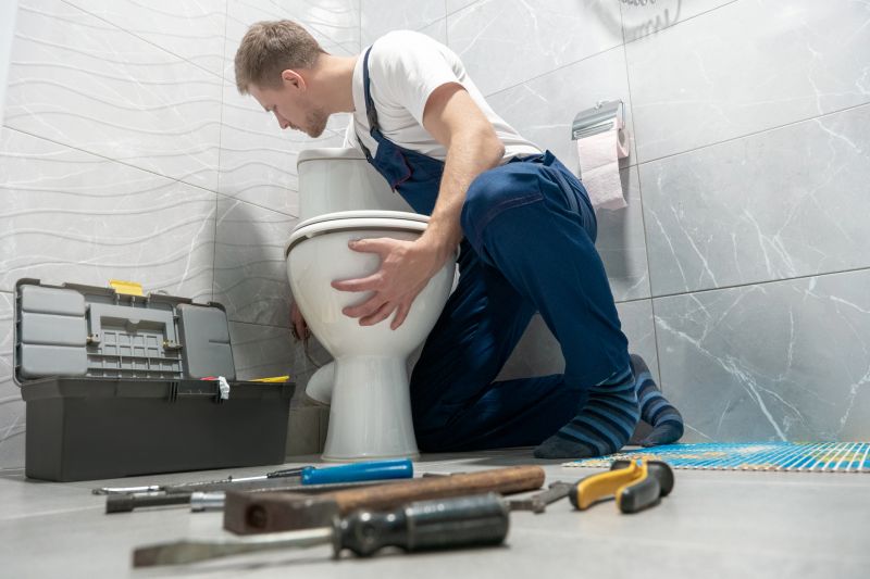 Toilet Leak Repair in Denver, CO